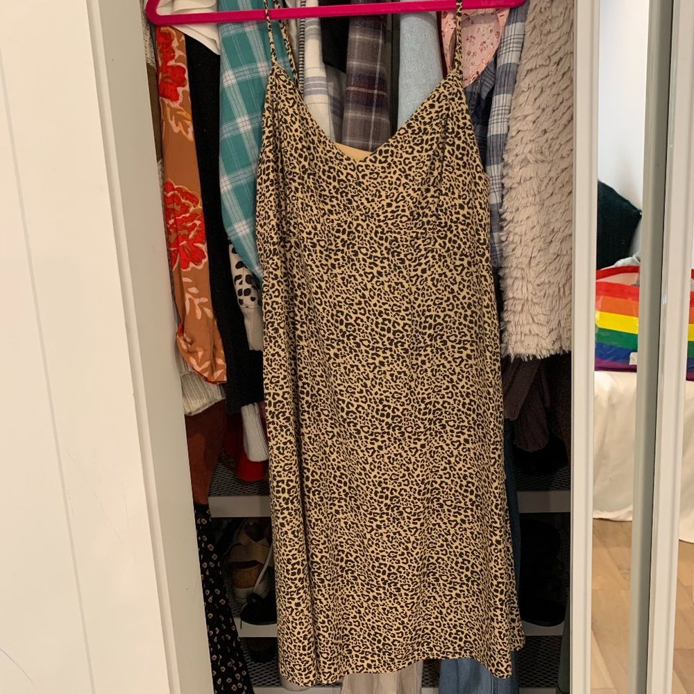 Hollister Leopard Casual Mini Dress